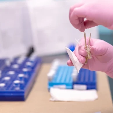 dna toolbox tissue testing