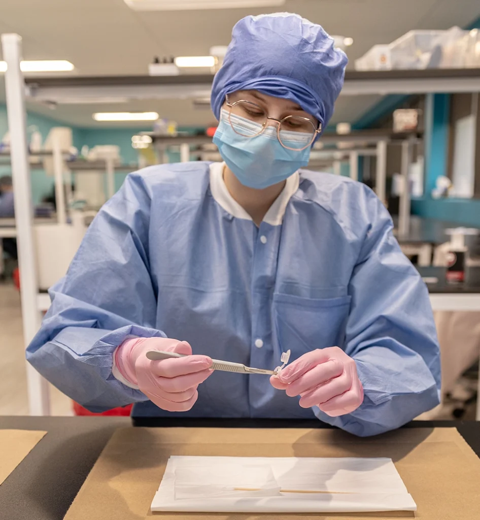 sexual assault kit testing